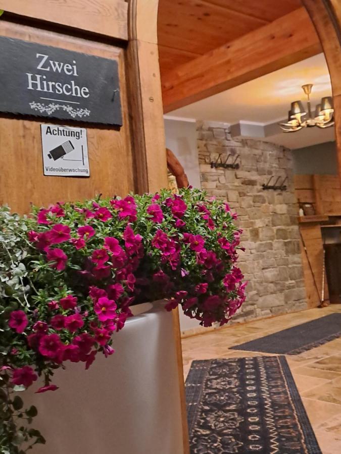 Vila Zwei Hirsche Seefeld in Tirol Exteriér fotografie